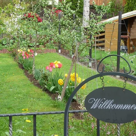 Ferienwohnung Bruni Birresborn Exterior photo